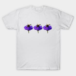 Three Cornflower with Bumblebee Floral Photos T-Shirt